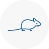 Mice Exterminators In Devon